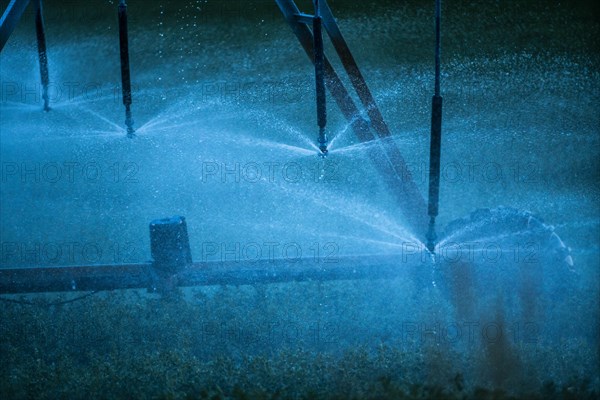 Irrigation system spraying crop field at sunset