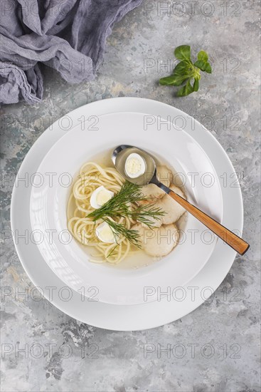 Chicken and noodle soup