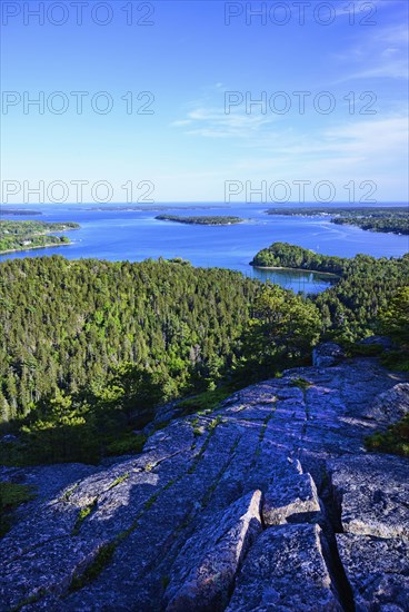 Rocks and forest by sea in Acadia National Park, Maine, USA