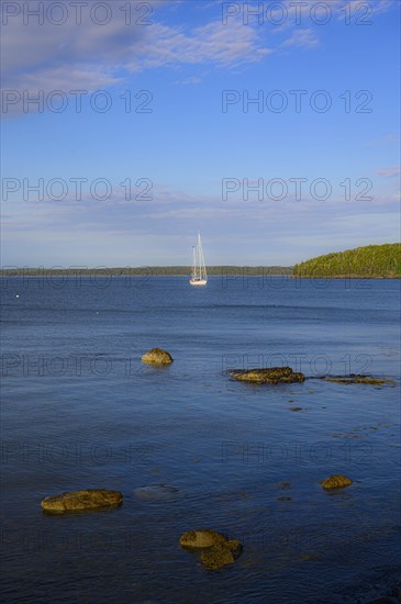 Yacht in Bar Harbor, Mount Desert Island, USA