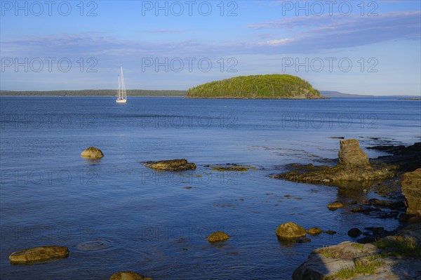 Yacht in Bar Harbor, Mount Desert Island, USA