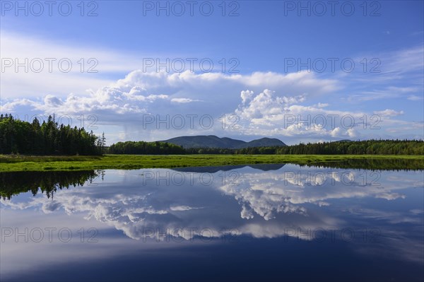 Clouds reflected in Bass Harbor Marsh, Mount Desert Island, USA