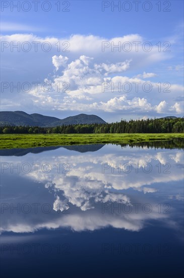 Clouds reflected in Bass Harbor Marsh, Mount Desert Island, USA