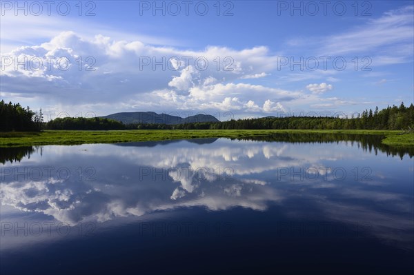 Clouds reflected in Bass Harbor Marsh, Mount Desert Island, USA