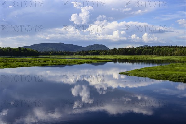 Clouds reflected in Bass Harbor Marsh, Mount Desert Island, USA