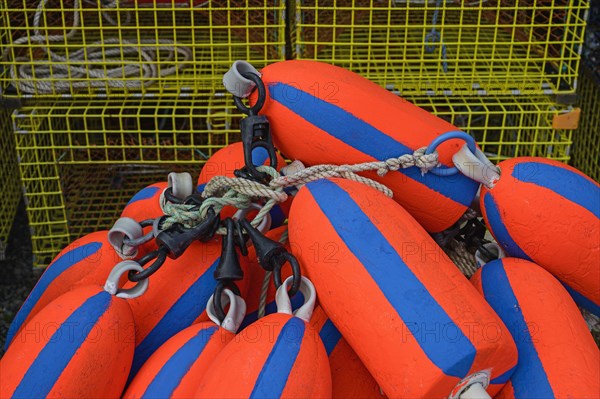 Red and blue buoys by lobster traps