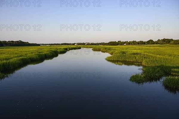 River through wetland in Dennis, Cape Cod, USA