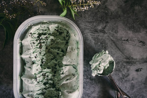 Mint chocolate ice cream with scoop