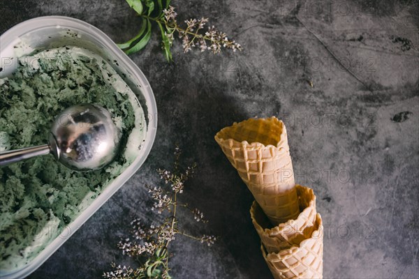 Mint chocolate chip ice cream with cones