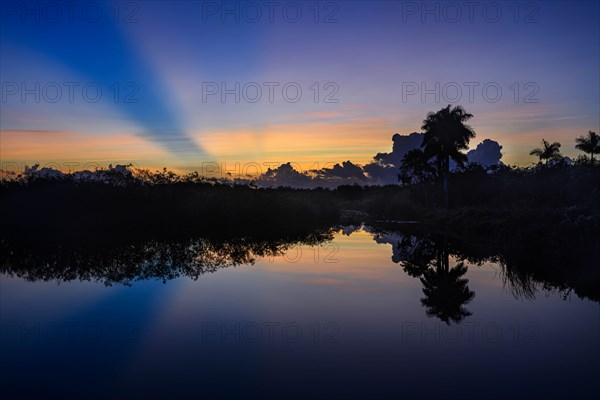 Trees by river at sunset in Everglades National Park, Florida, USA