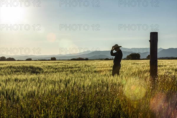 Silhouette of farmer in crop field in Picabo, Idaho, USA