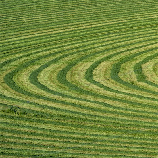 Field cut in curved shape in Picabo, Idaho, USA