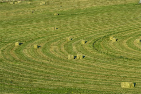 Hay bales in field in Picabo, Idaho, USA