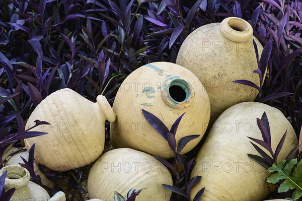 Pots in garden at Church of Saint Louis of France in Seville, Andalusia, Spain