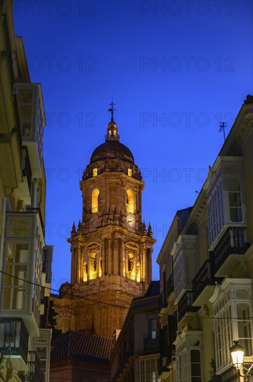 Cathedral of Malaga at night in Malaga, Spain