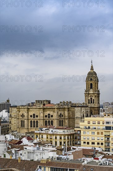 Cityscape with Cathedral of Malaga in Malaga, Spain