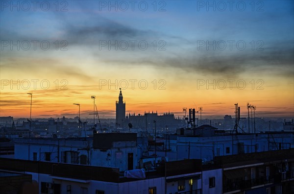 Cityscape with Seville Cathedral at sunrise in Seville, Andalusia, Spain