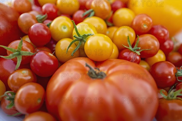 Red and yellow cherry tomatoes