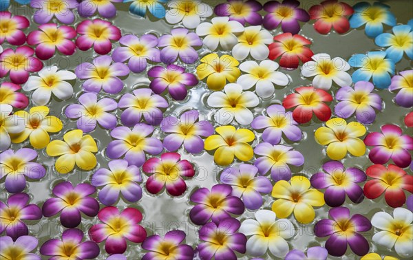 Flowers floating in wellness spa in Bangkok, Thailand