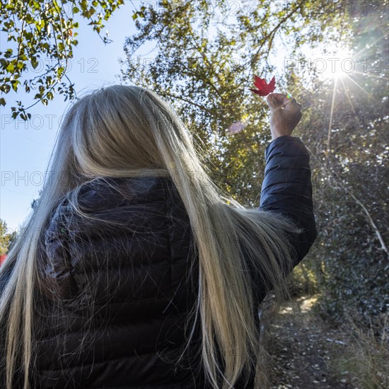 Woman holding autumn leaf up to sun in Bellevue, Idaho, USA