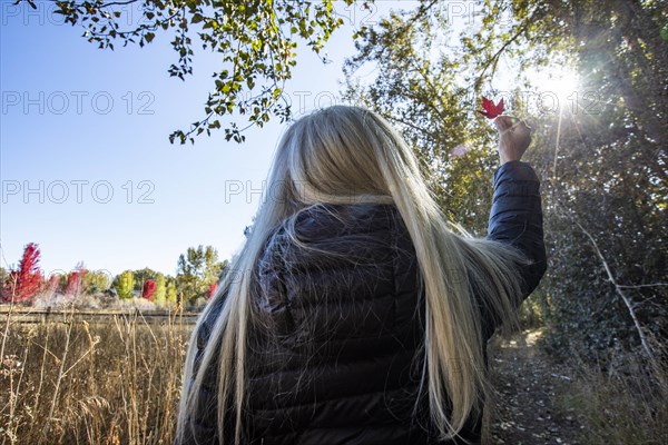 Woman holding autumn leaf up to sun in Bellevue, Idaho, USA