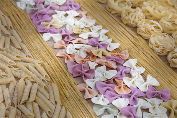 Assorted uncooked pasta in rows