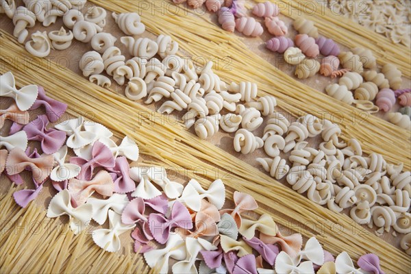 Assorted uncooked pasta in rows