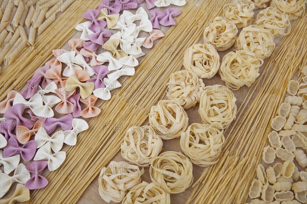 Assorted uncooked pasta in rows