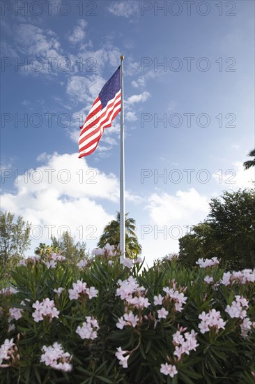 American flag in bush with flowers