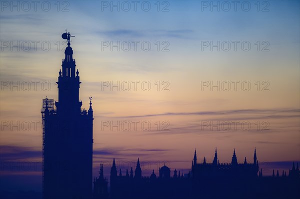 Giralda bell tower at sunset in Seville, Spain