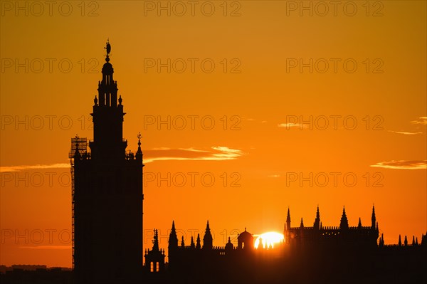 Giralda bell tower at sunset in Seville, Spain