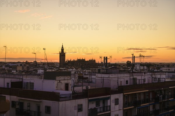 Cityscape with Giralda bell tower at sunset in Seville, Spain