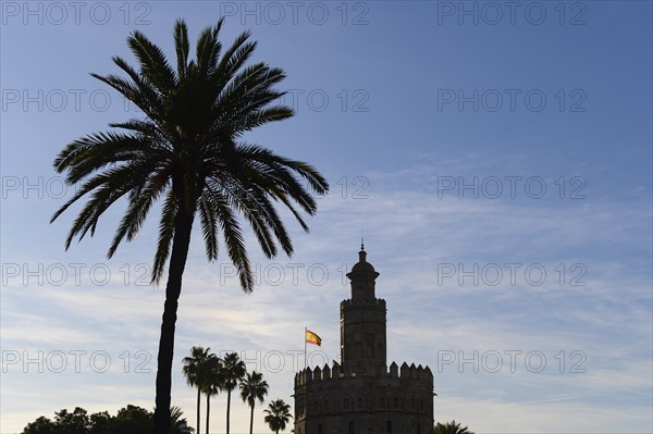 Torre del Oro by palm trees at sunset in Seville, Spain