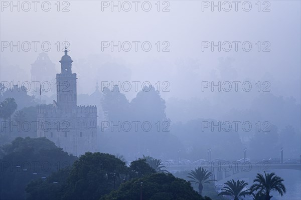 Torre del Oro amongst trees and fog in Seville, Spain