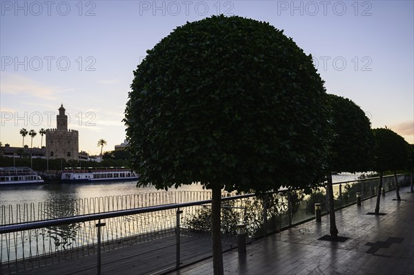 Trees on footpath with Torre del Oro in distance in Seville, Spain