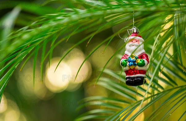 Santa decoration hanging from plant