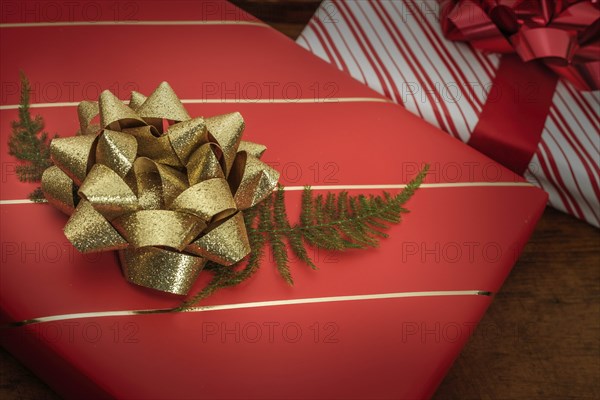 Pine frond under bow on Christmas present