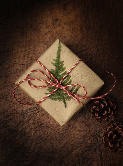 Pine frond tied to Christmas present