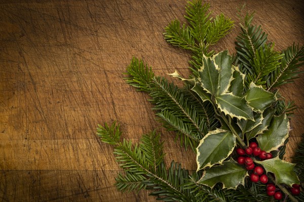 Mistletoe and pine fronds