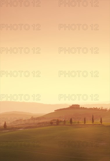 Trees on hills at sunset in Tuscany, Italy