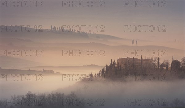 Trees on hills at sunset in Tuscany, Italy