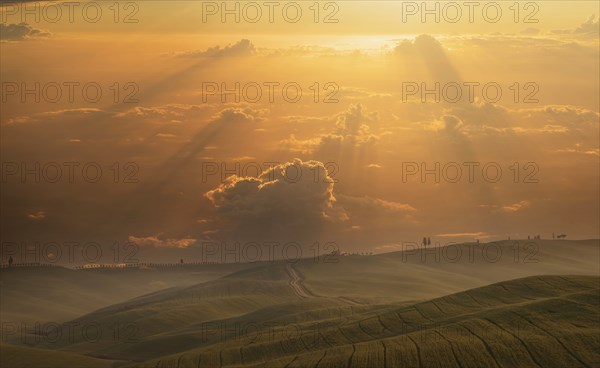Hills at sunset in Tuscany, Italy