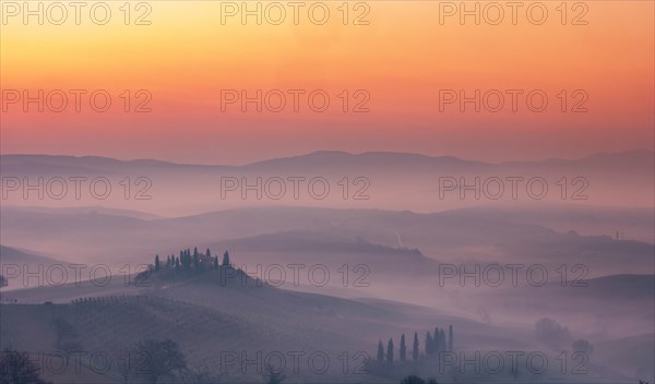 Trees on hills at sunset in Tuscany, Italy