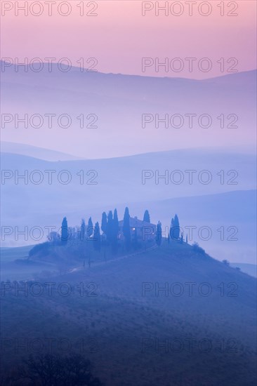 Trees on hills at sunset in Tuscany, Italy