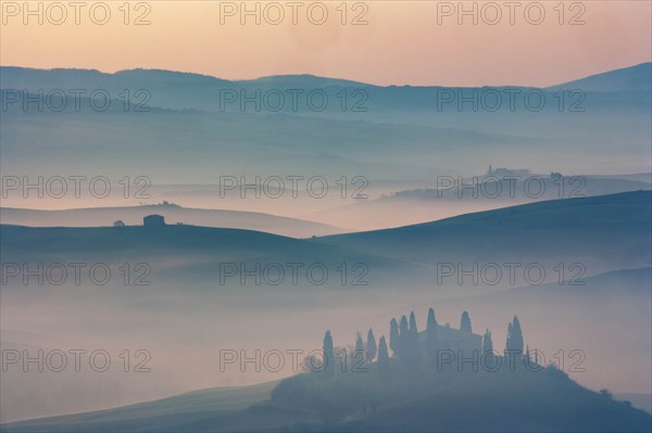 Trees on hills at sunset in Tuscany, Italy