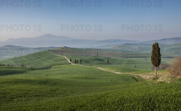 Road through hills in Tuscany, Italy