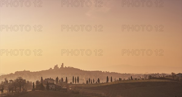 Trees on hills at sunset in Tuscany, Italy