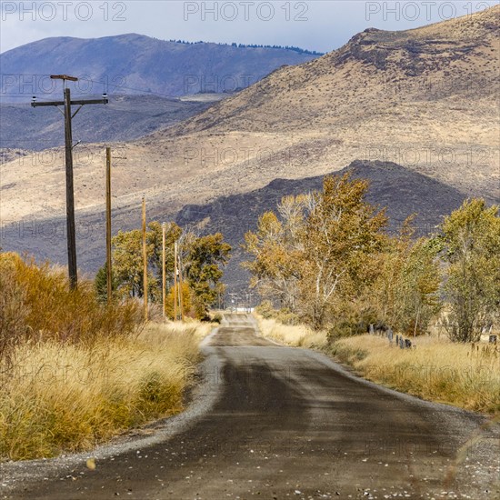 Country road by trees and mountains