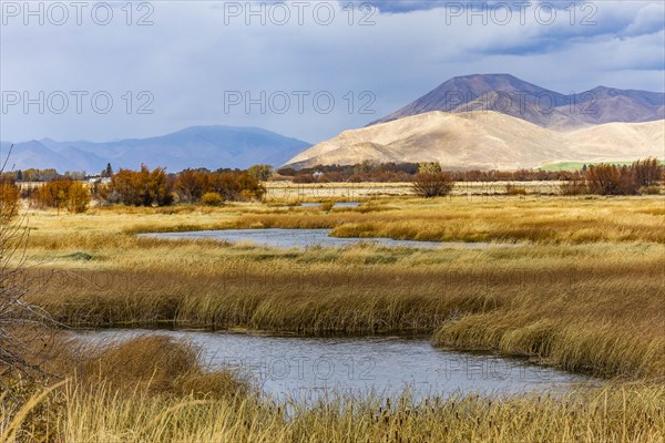 Ponds in marsh