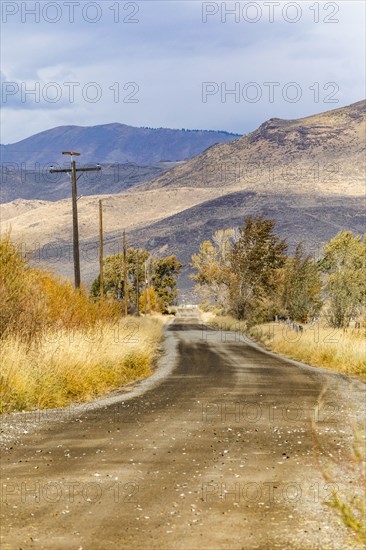 Country road by trees and mountains